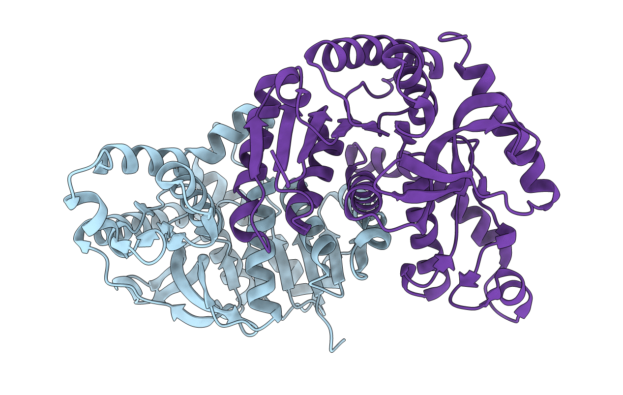 4LMR image