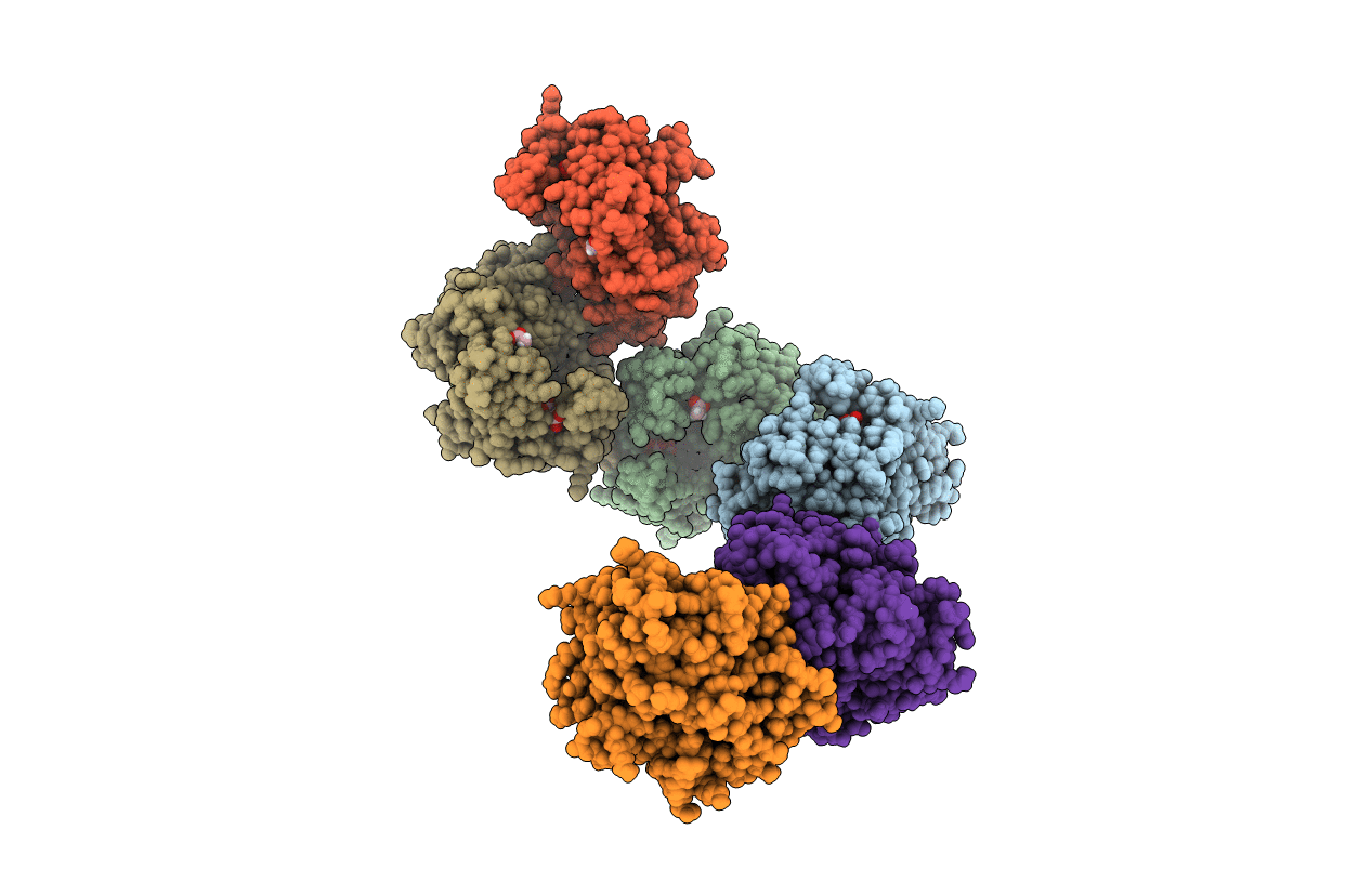 4LMV image