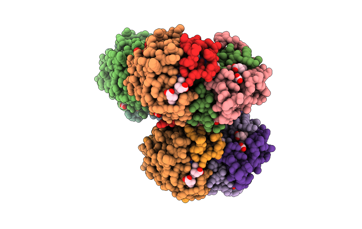 4LMX image