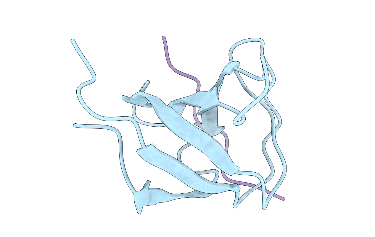 4LN2 image