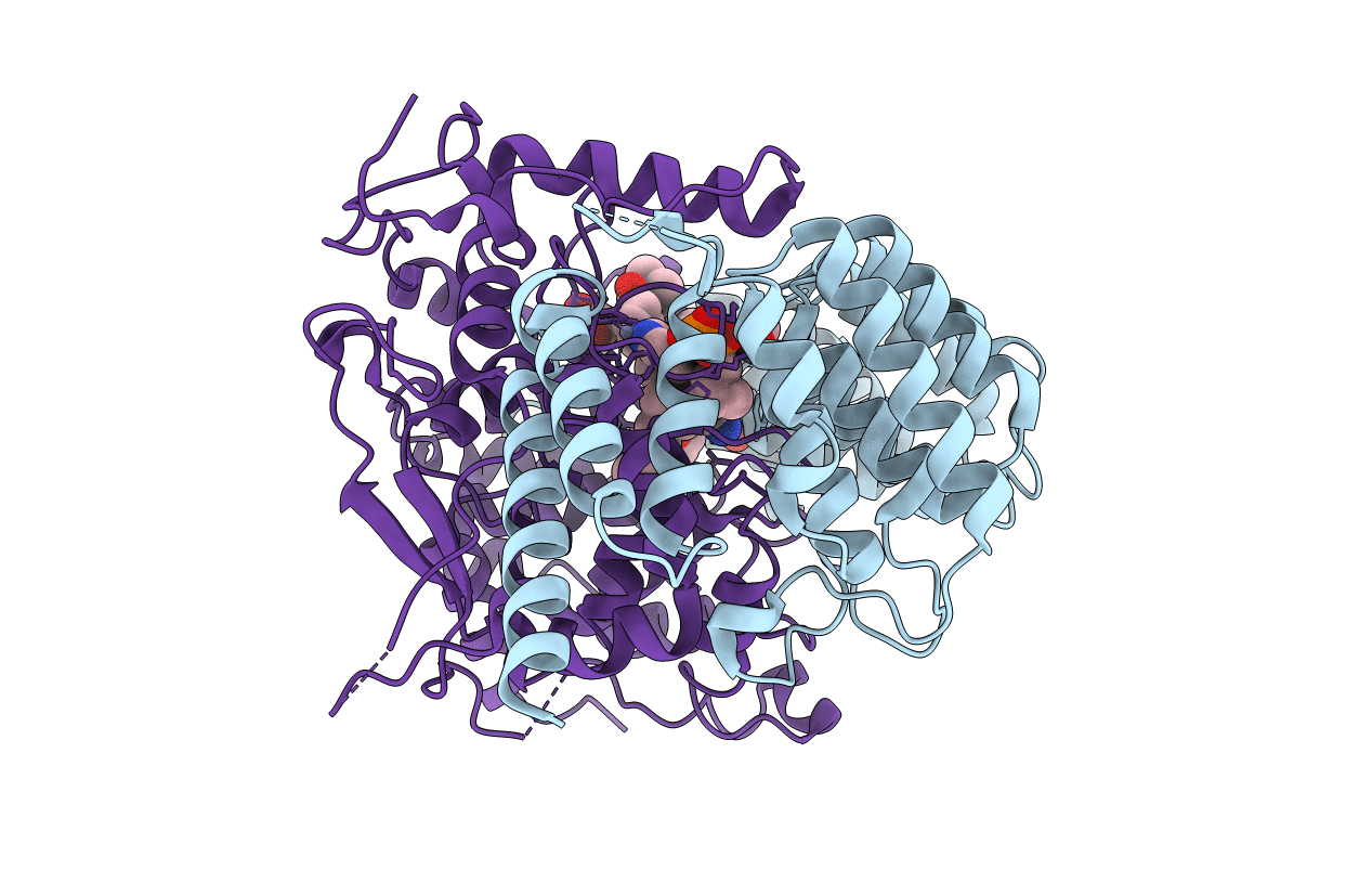4LNB image