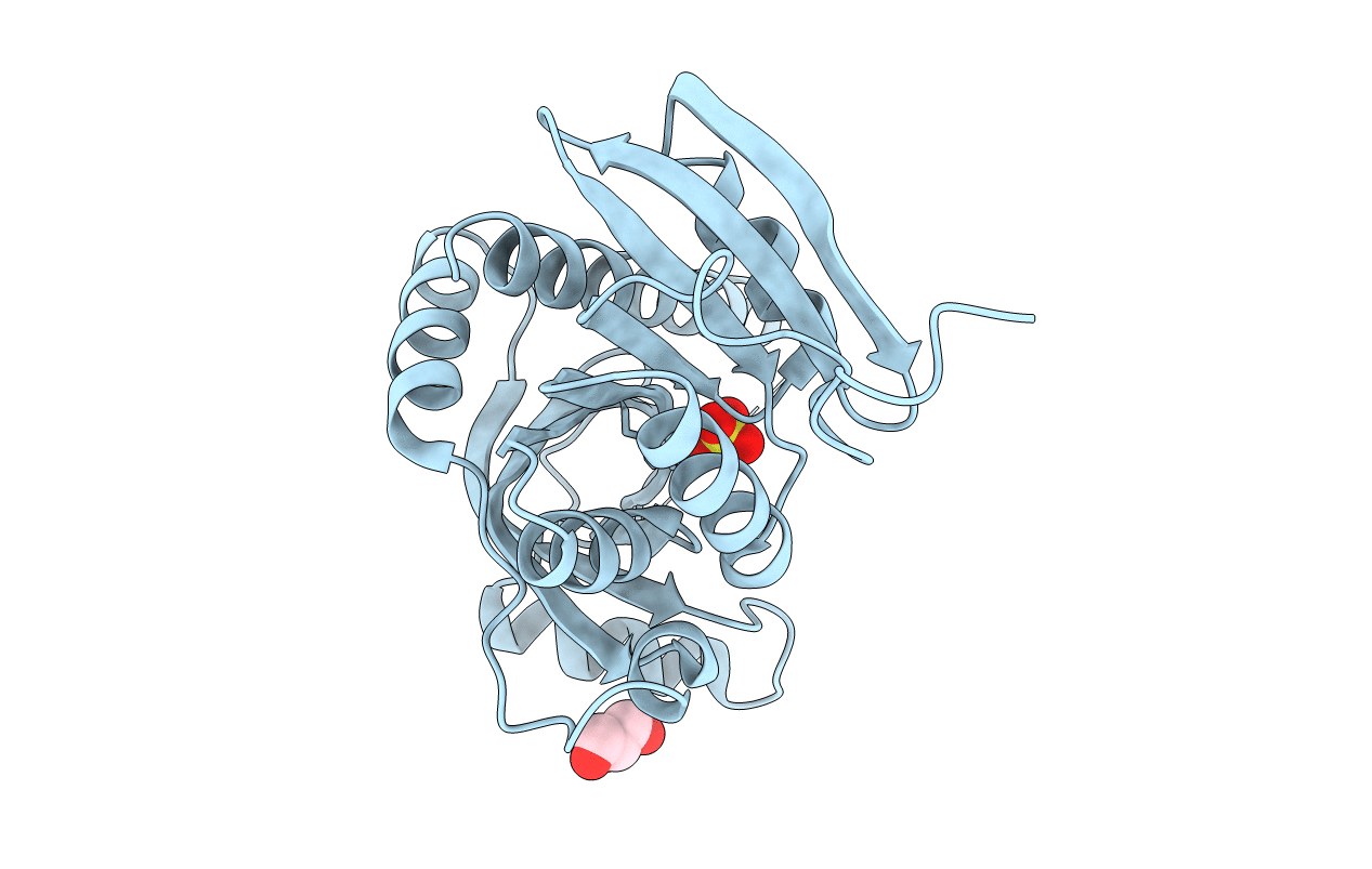 4LNH image