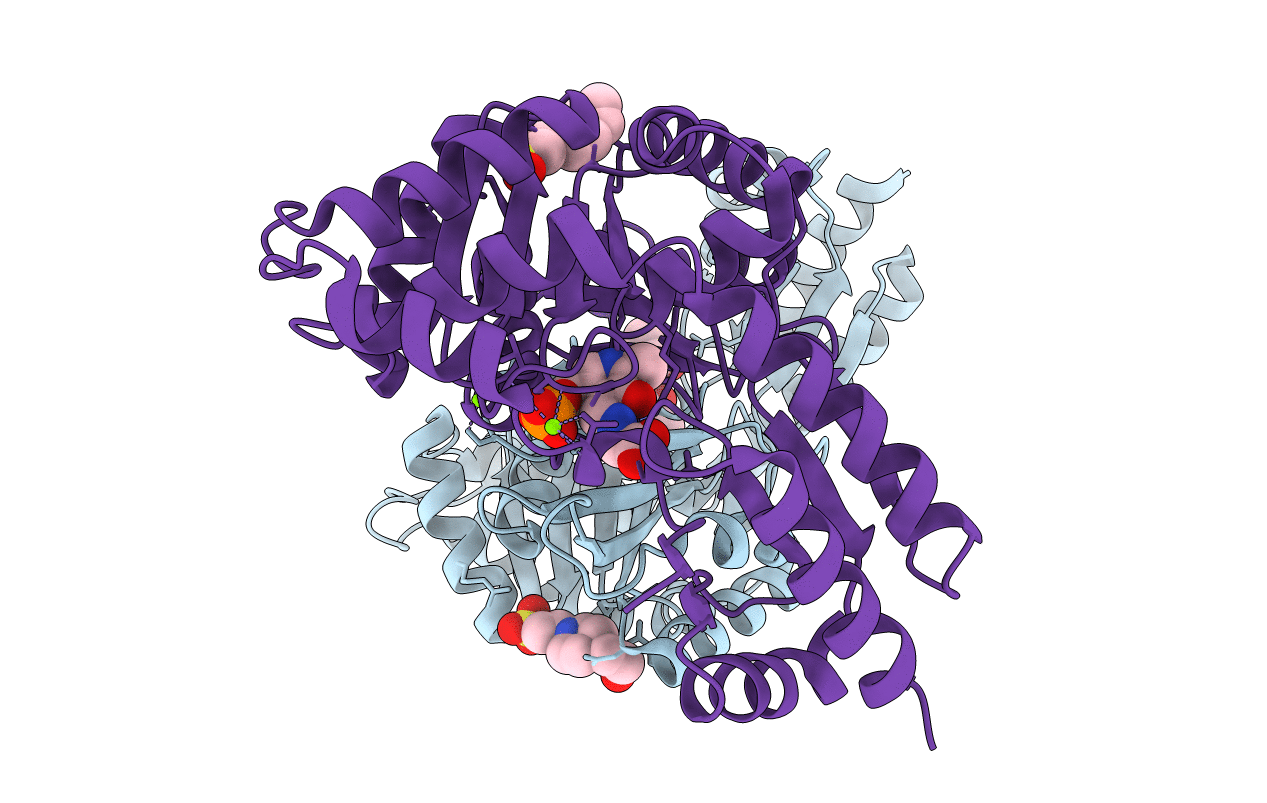 4LNL image