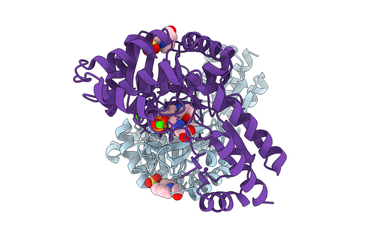 4LNM image