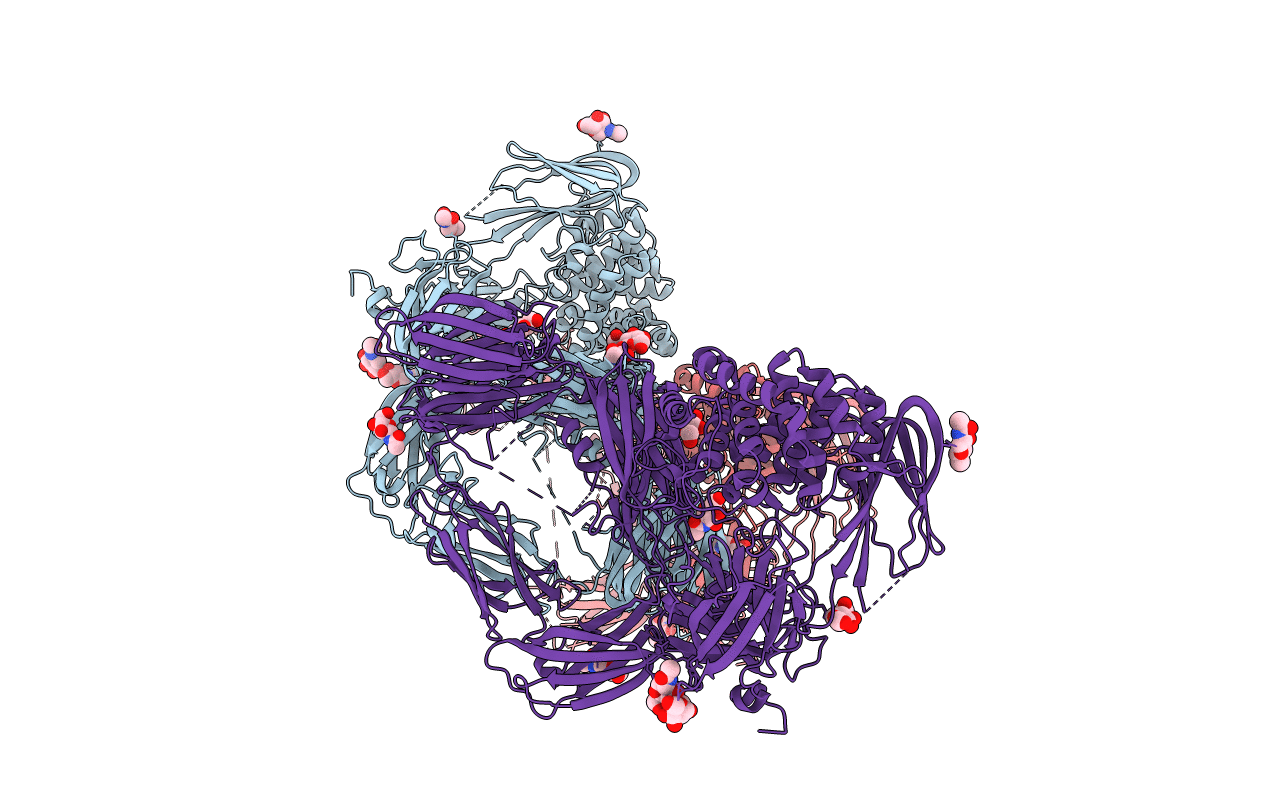 4LNV image