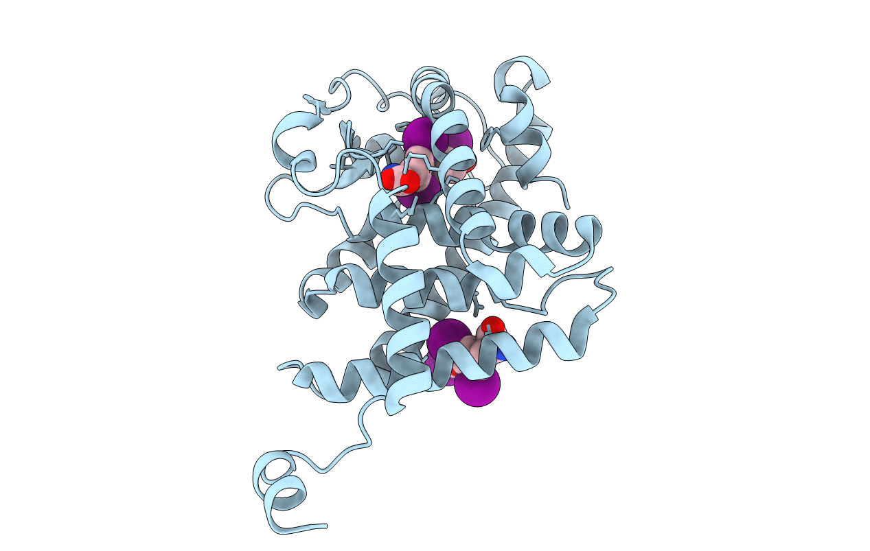 4LNW image