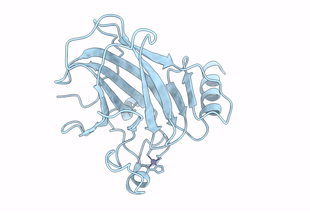 4LOF image