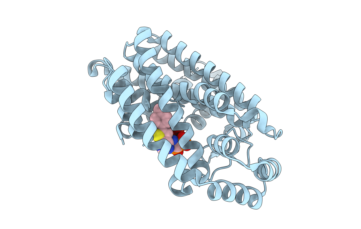 4LPG image
