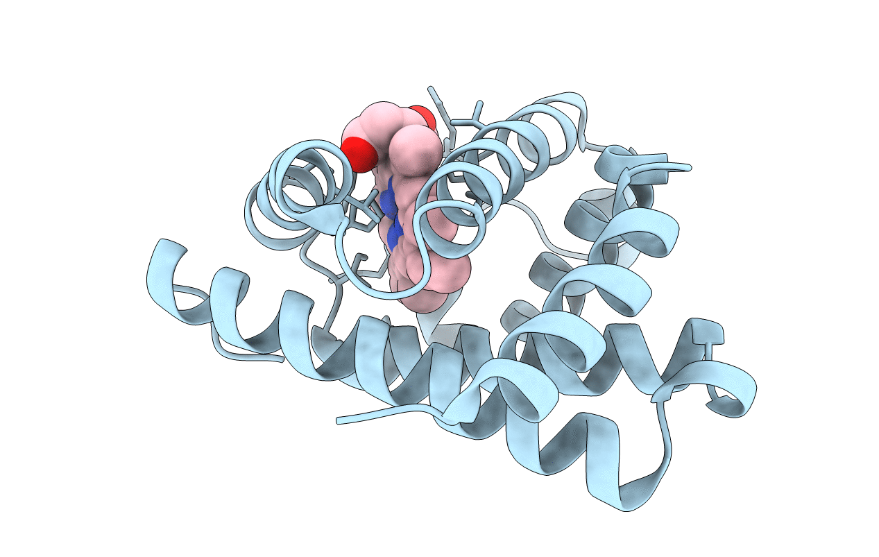 4LPI image