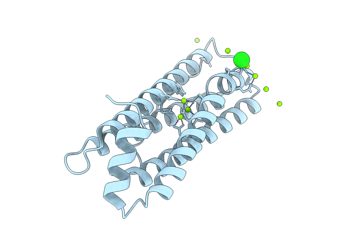 4LPM image