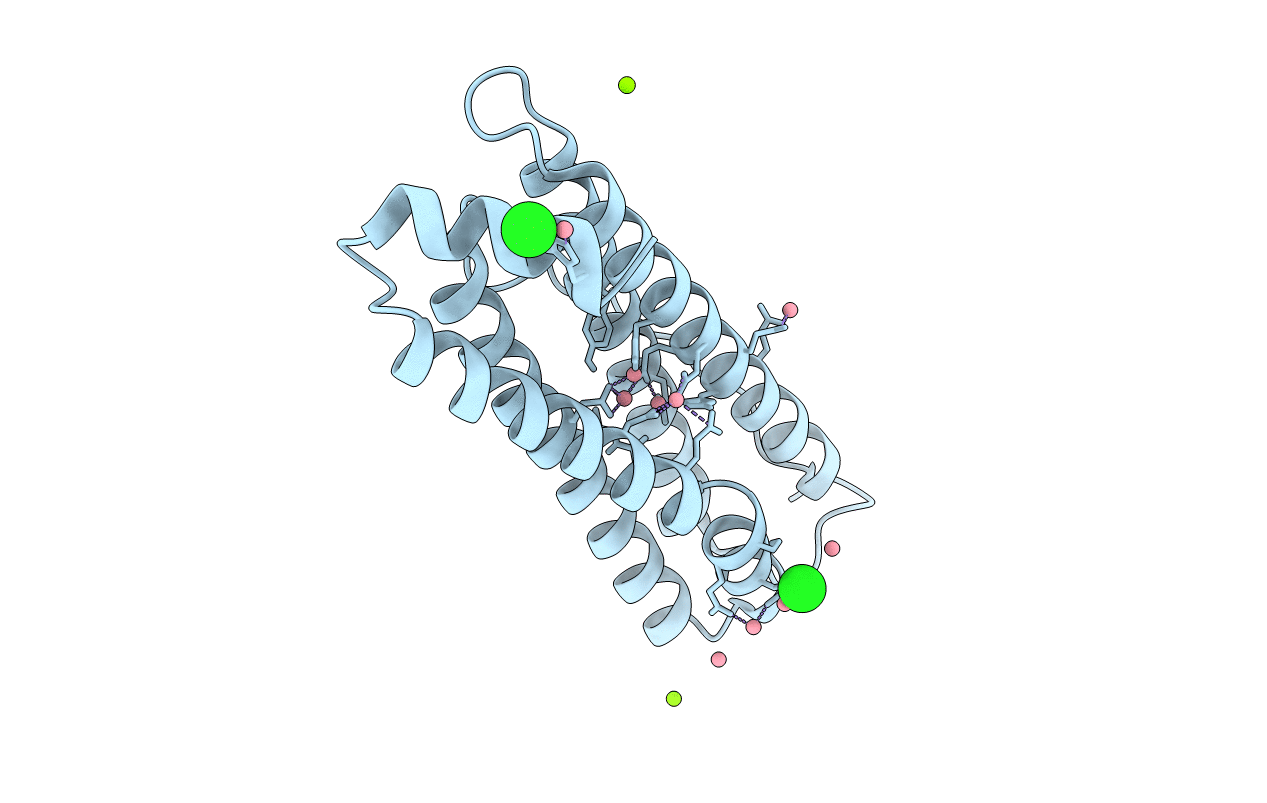 4LPN image