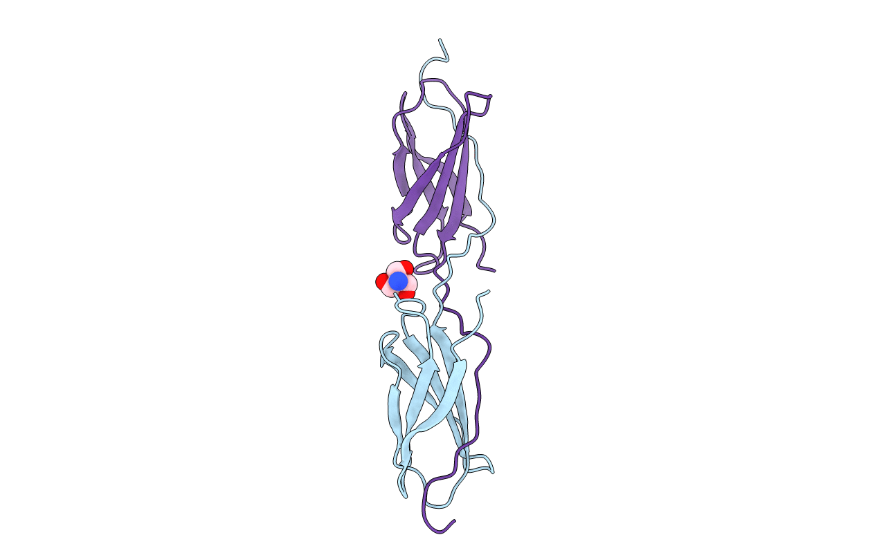 4LPV image