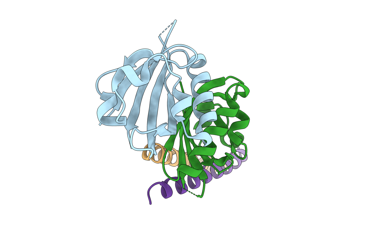 4LPZ image