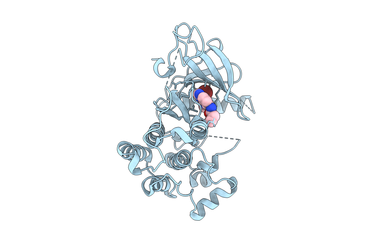 4LQM image