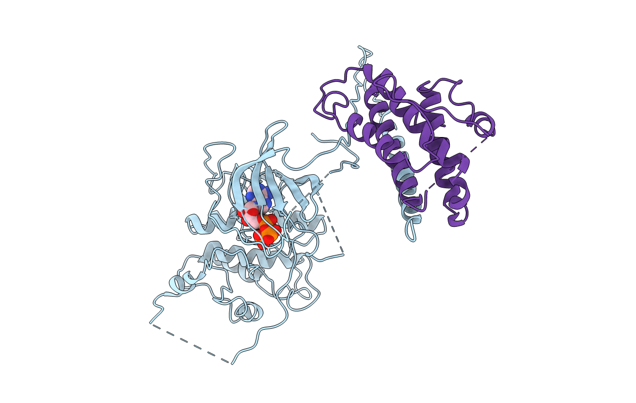 4LQS image