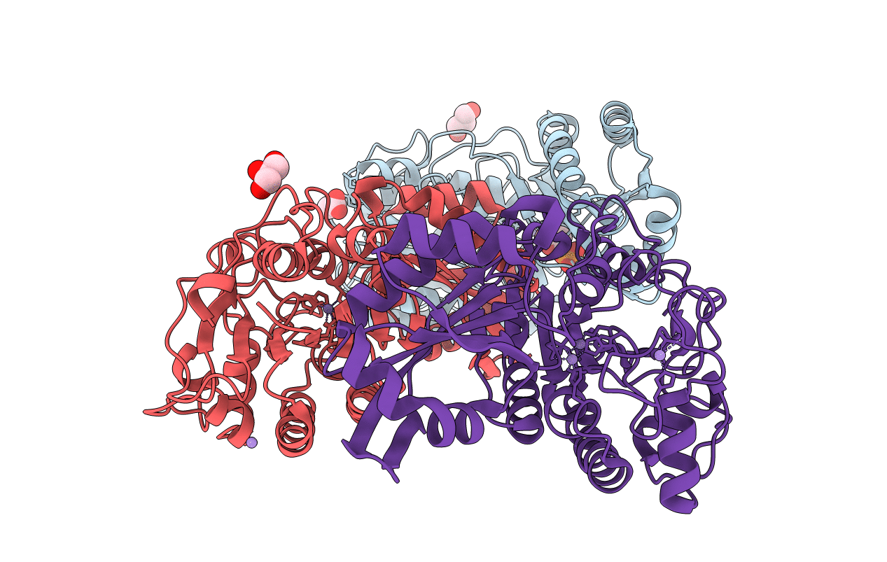 4LRB image