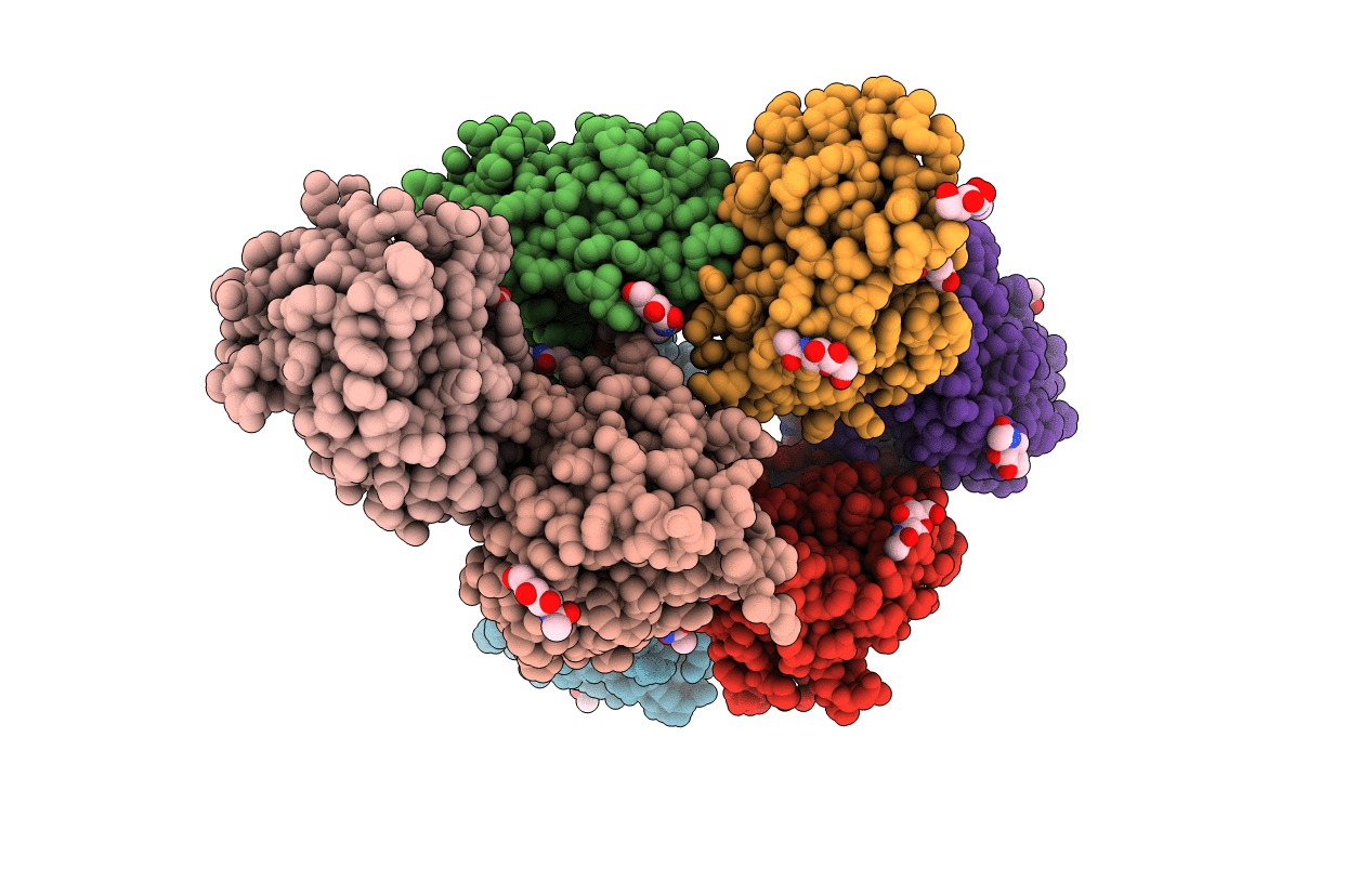 4LRH image