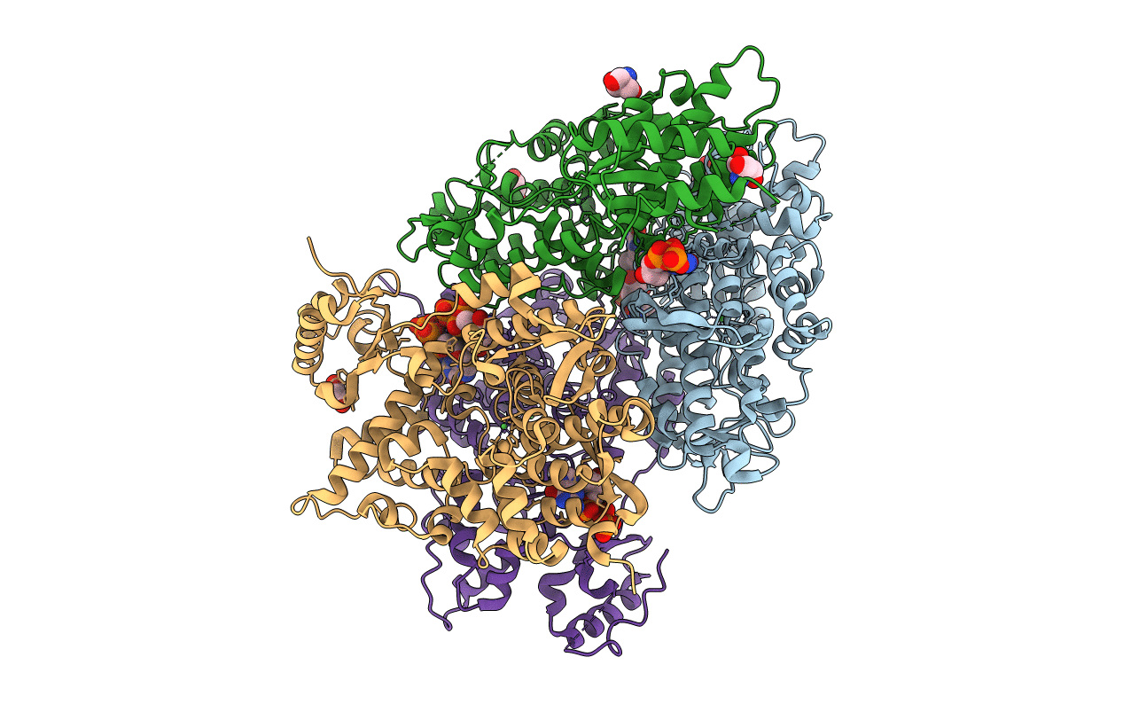 4LRL image