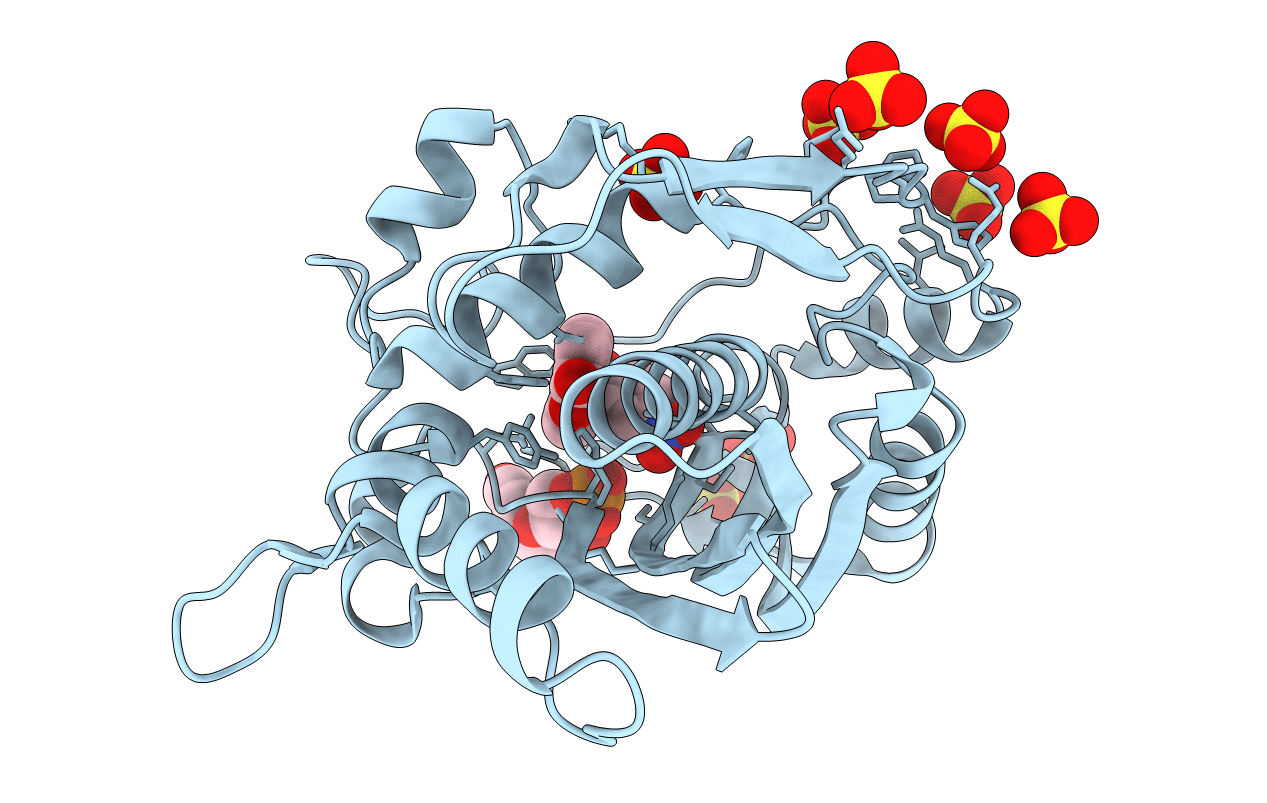 4LRR image