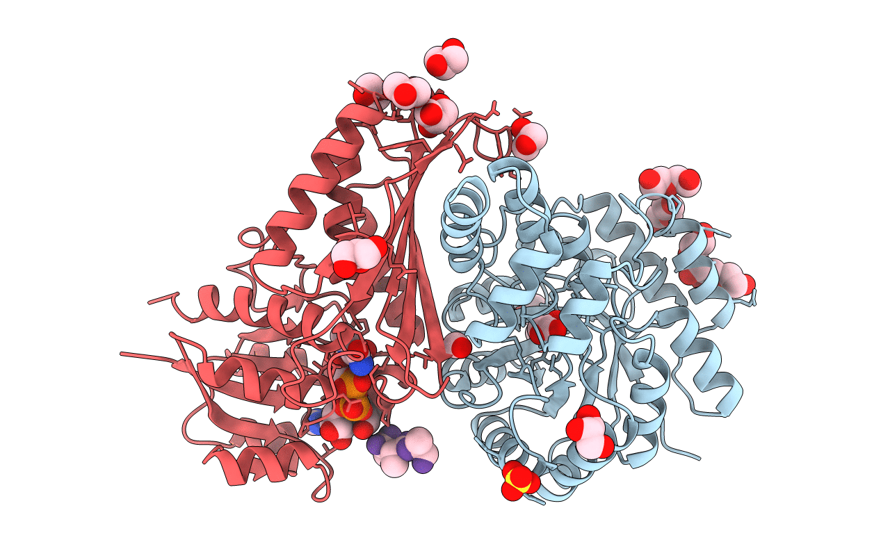 4LRS image