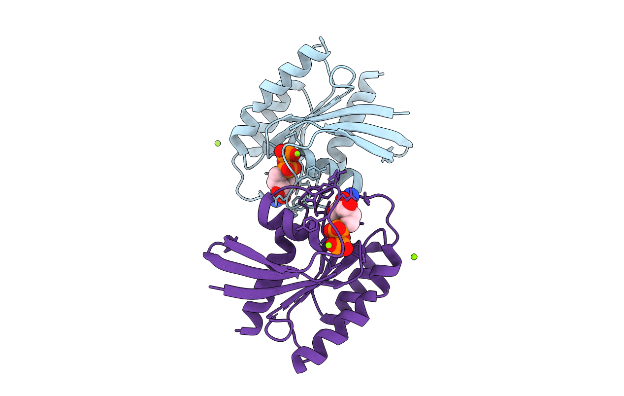 4LRW image