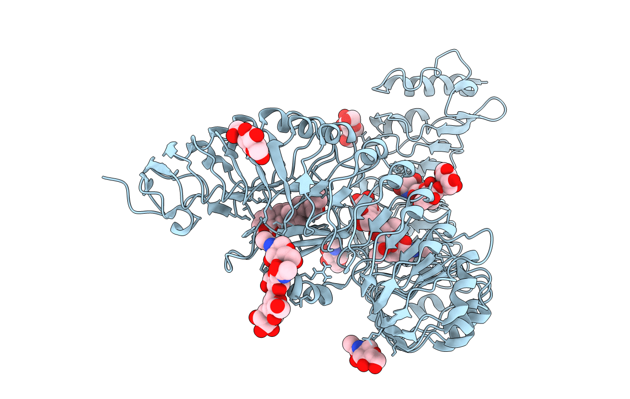 4LSA image