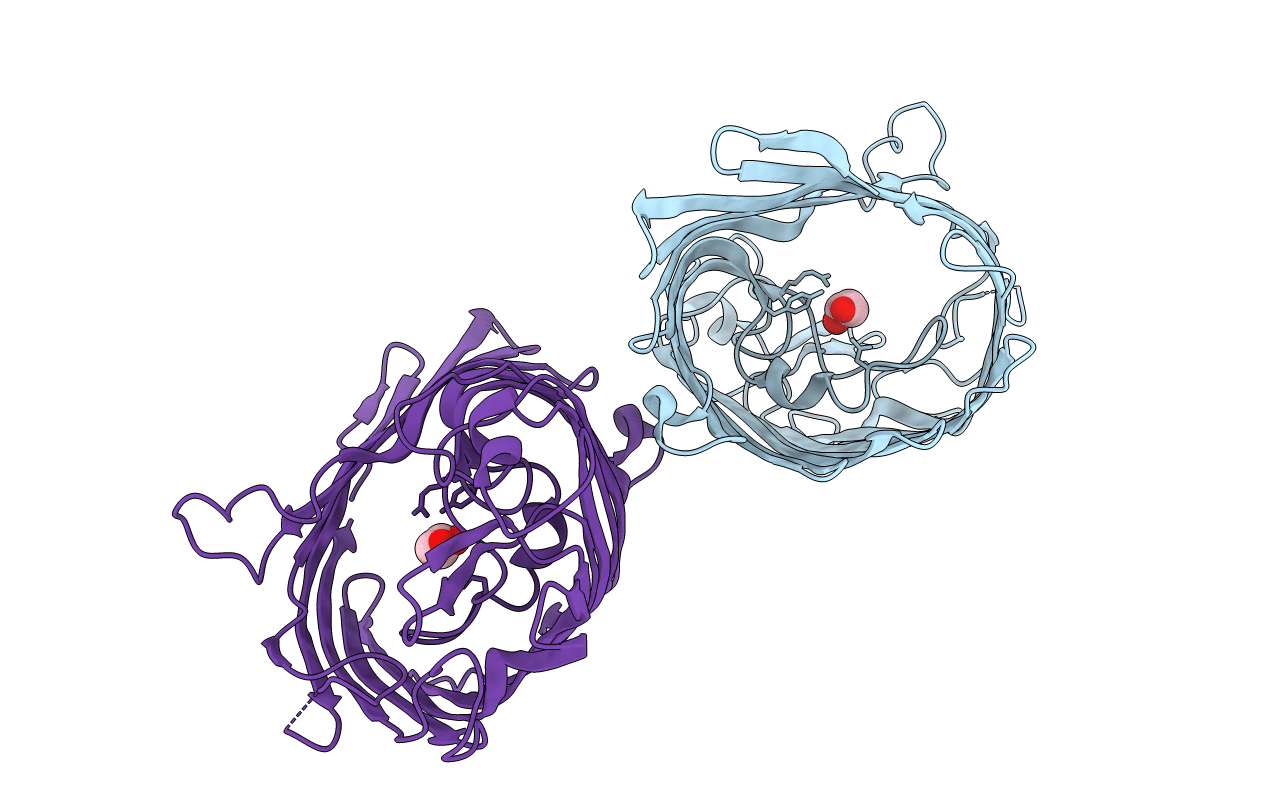 4LSF image