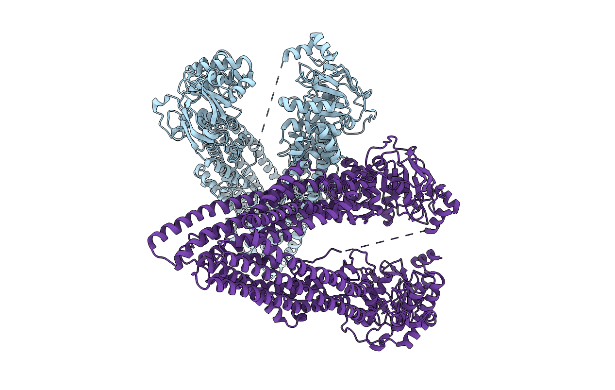 4LSG image
