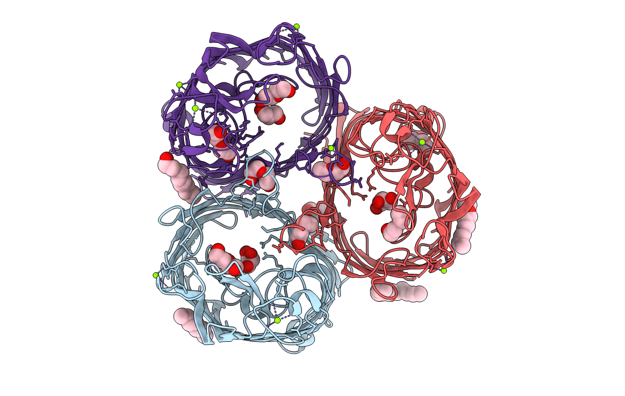 4LSI image