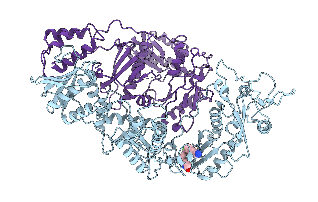4LSL image