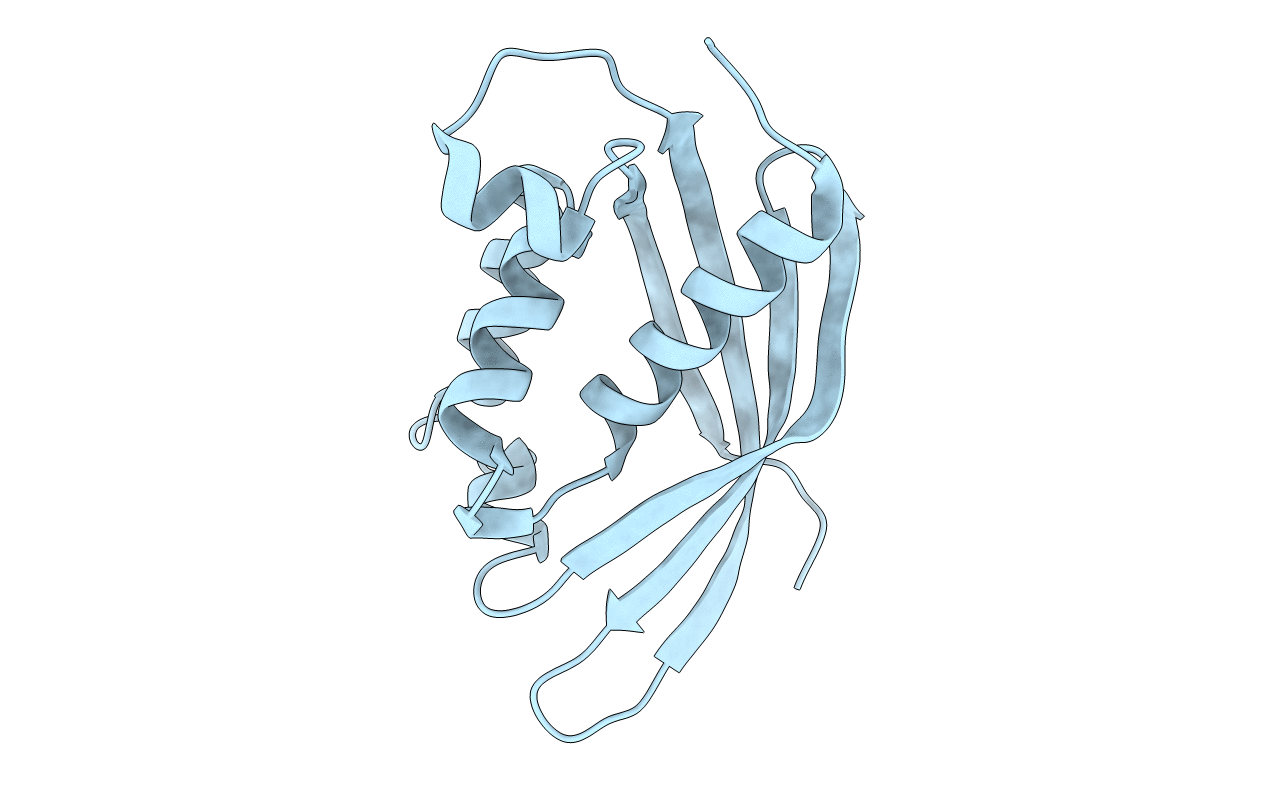 4LSO image