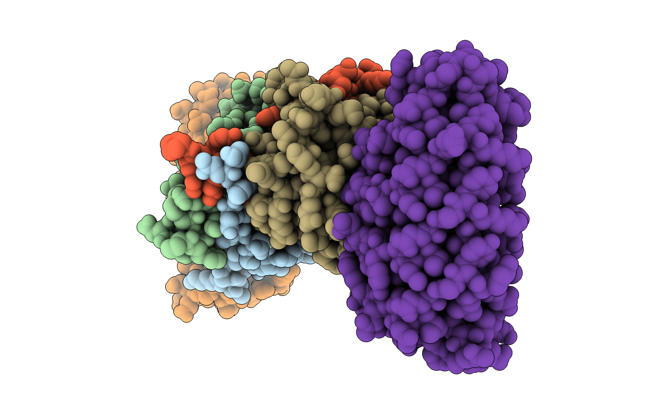 4LSZ image