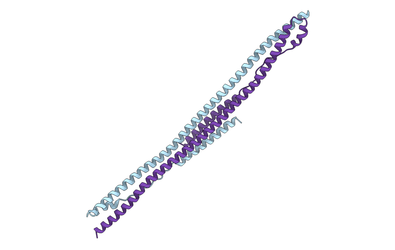 4LTB image