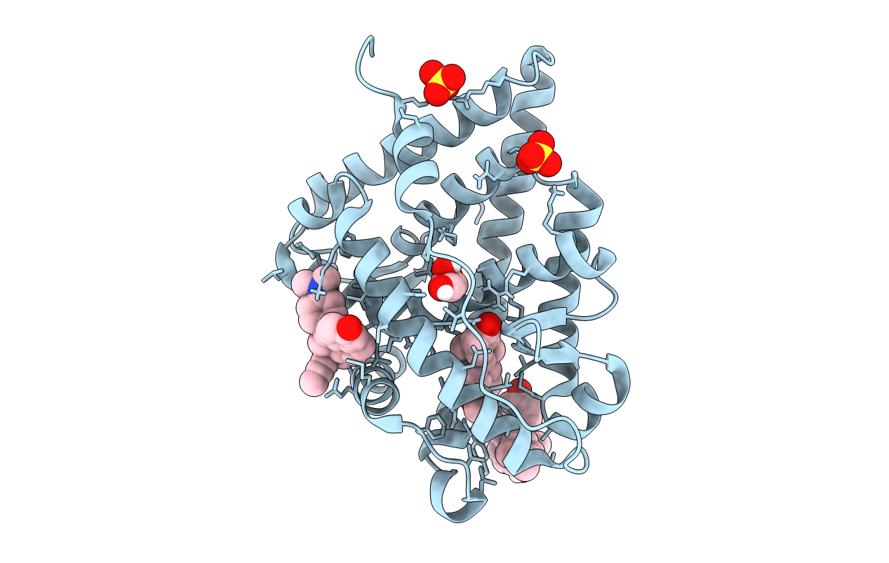 4LTW image