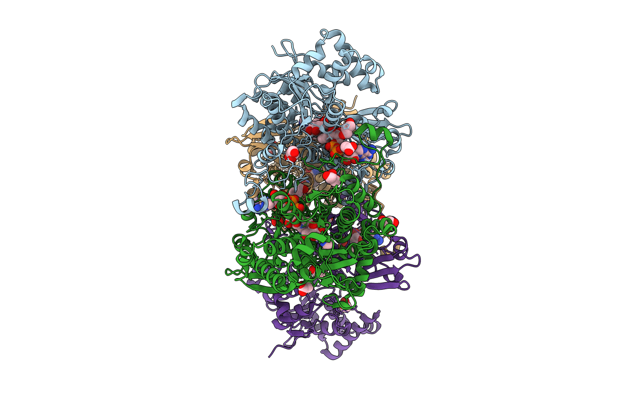 4LVC image