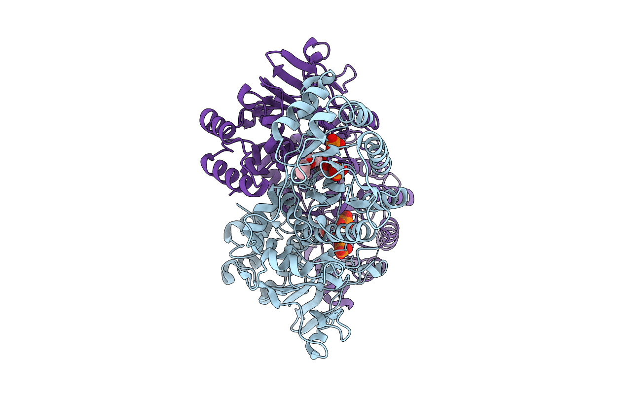 4LVD image