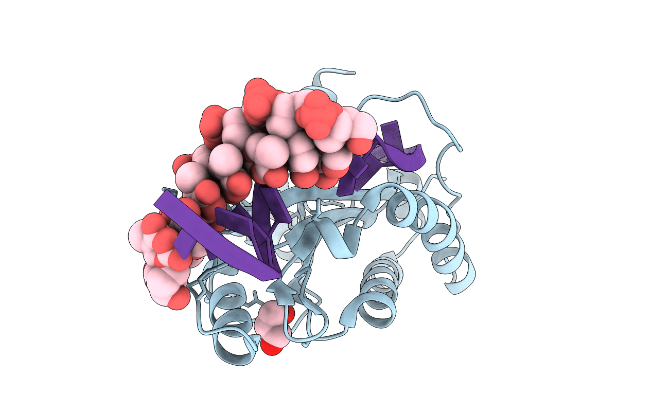 4LVI image