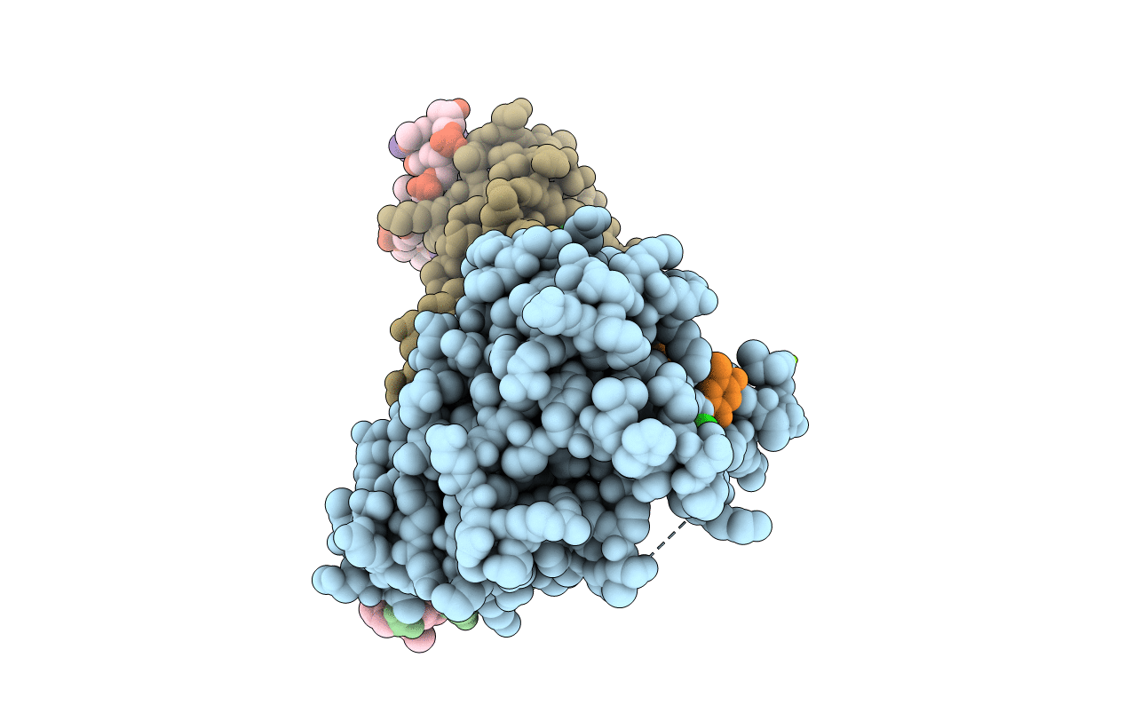 4LVm image