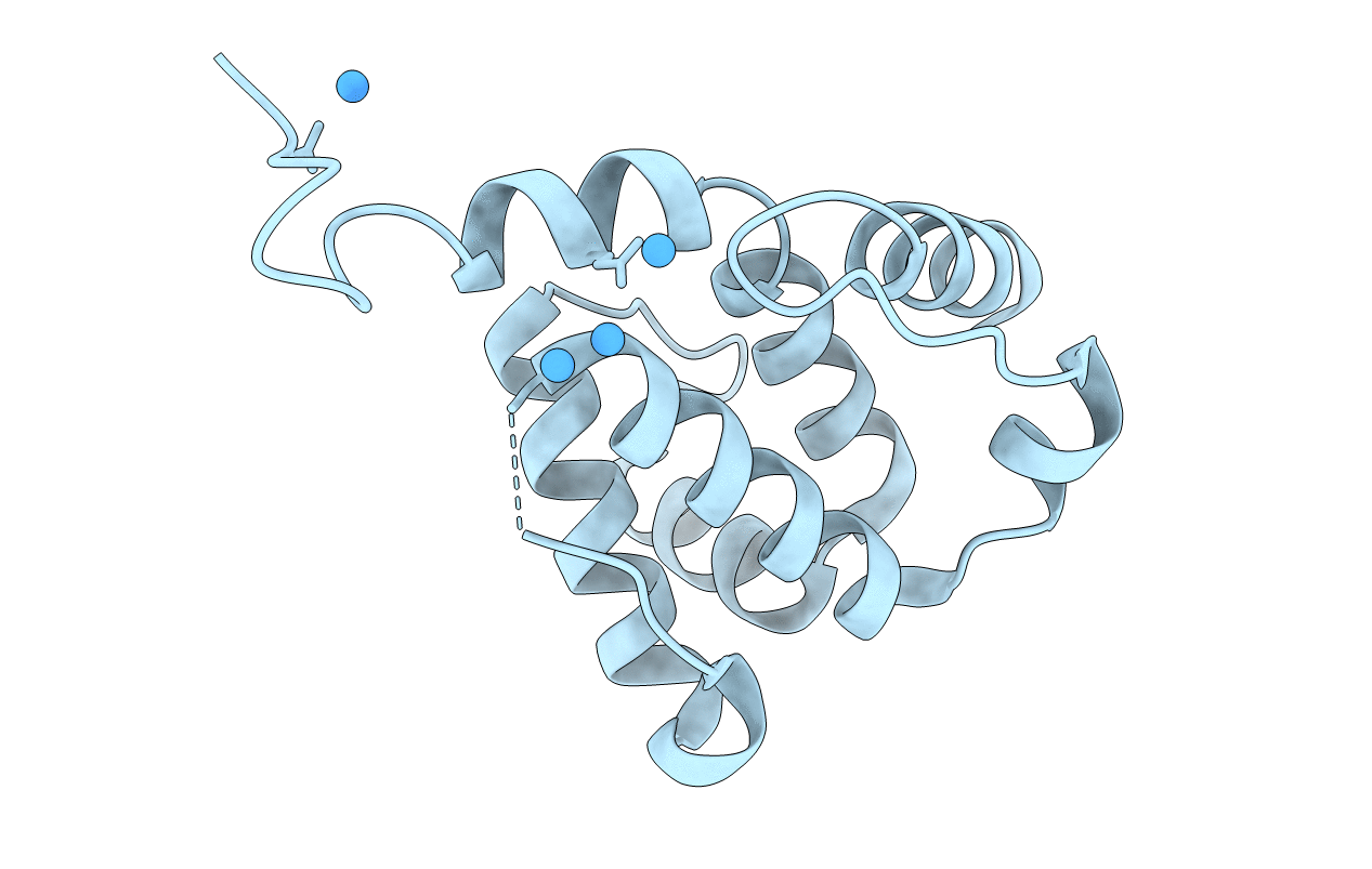 4LVP image