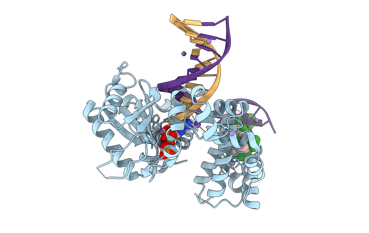 4LVS image