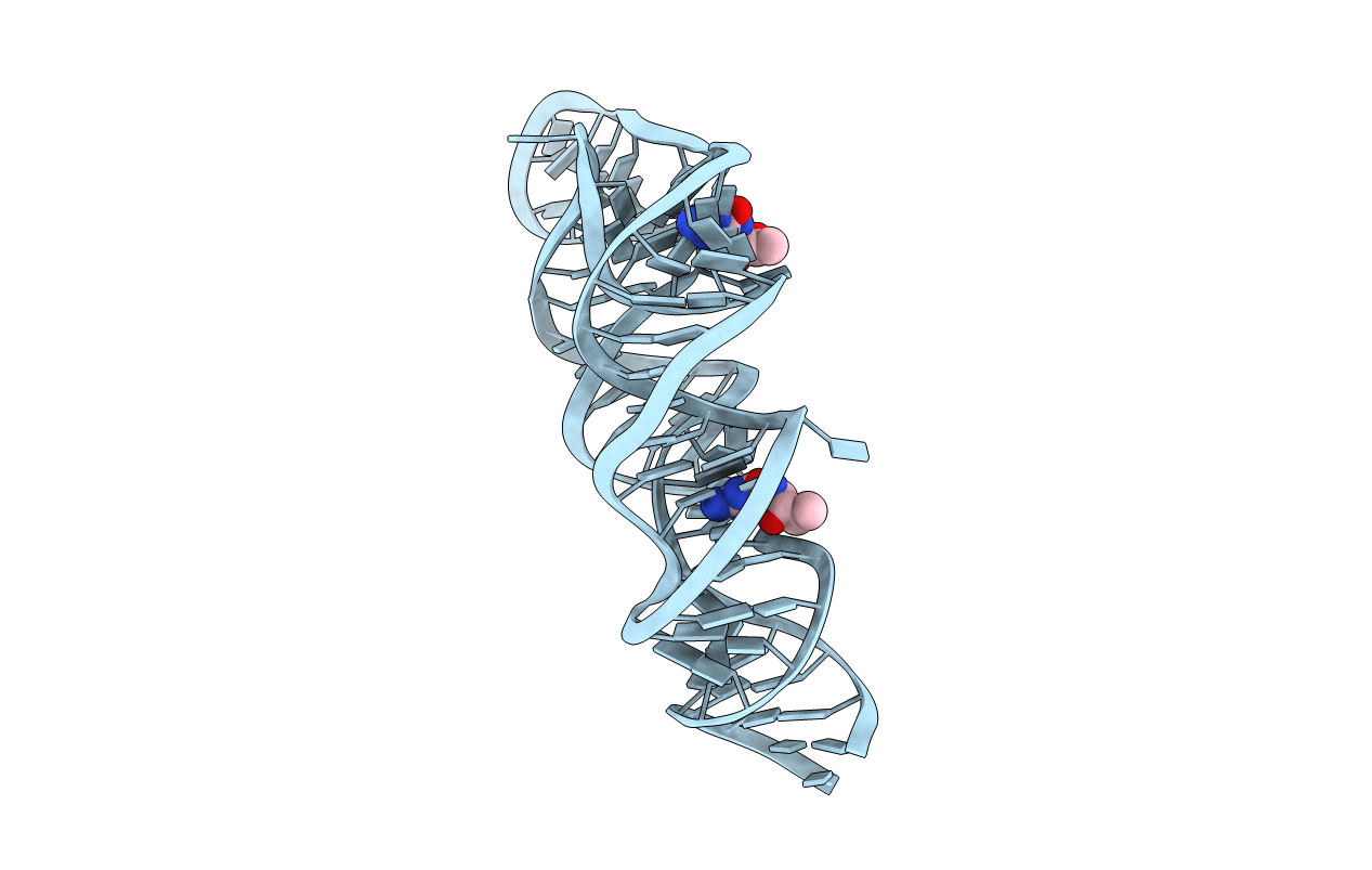 4LVX image
