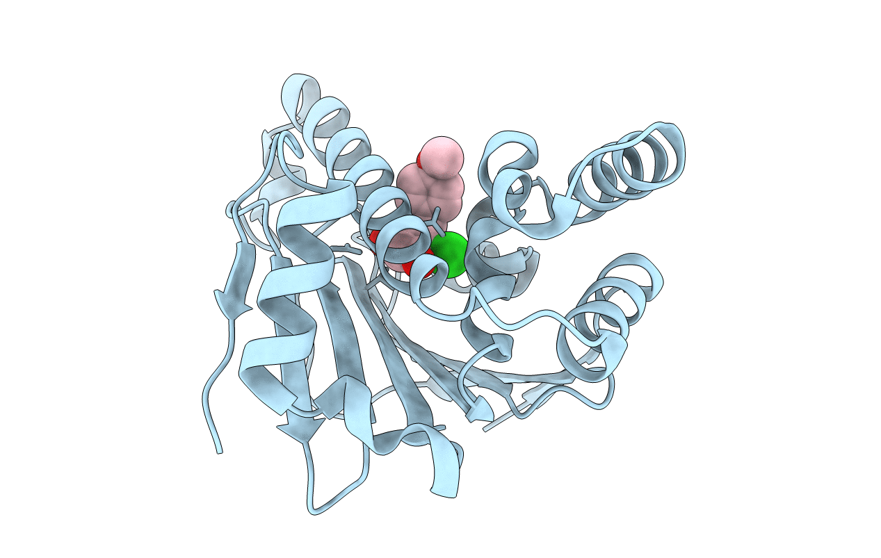 4LWG image