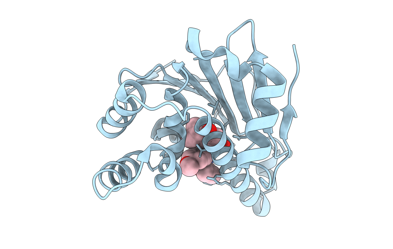 4LWI image