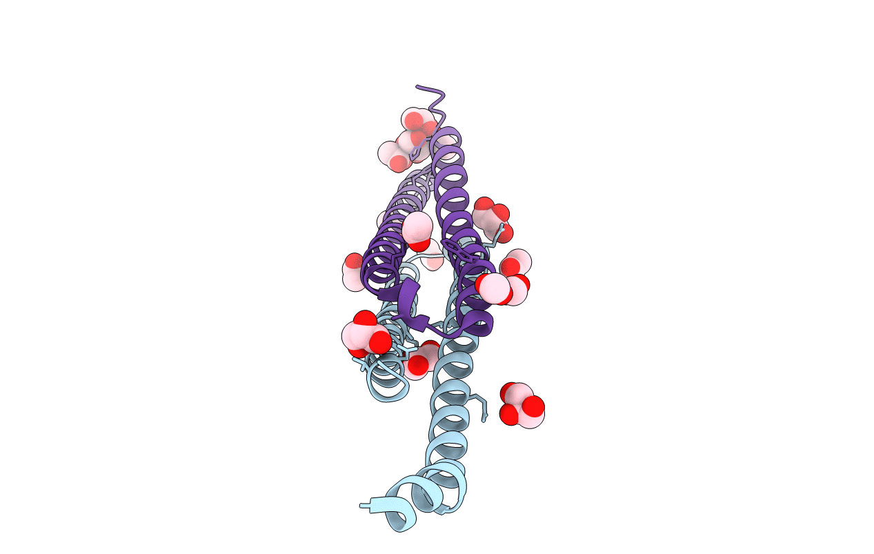 4LWS image