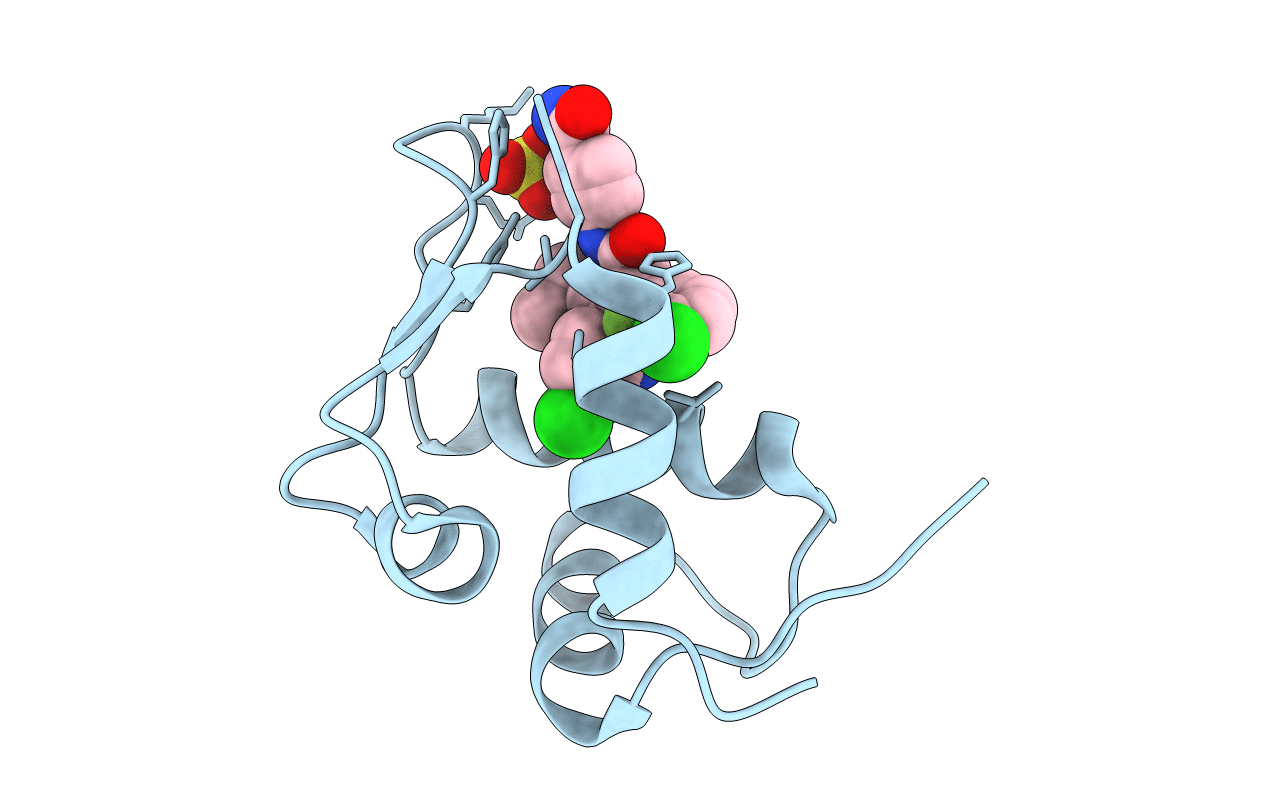 4LWU image