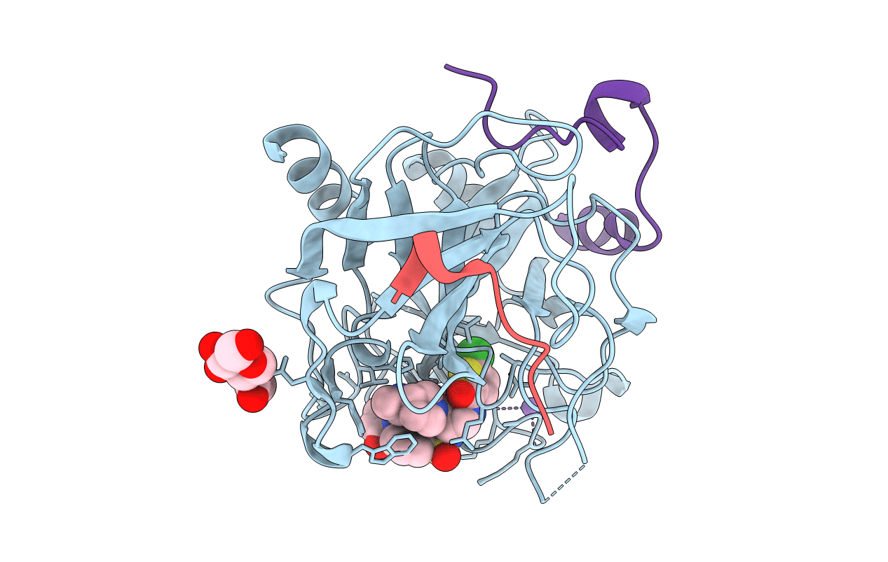4LXB image