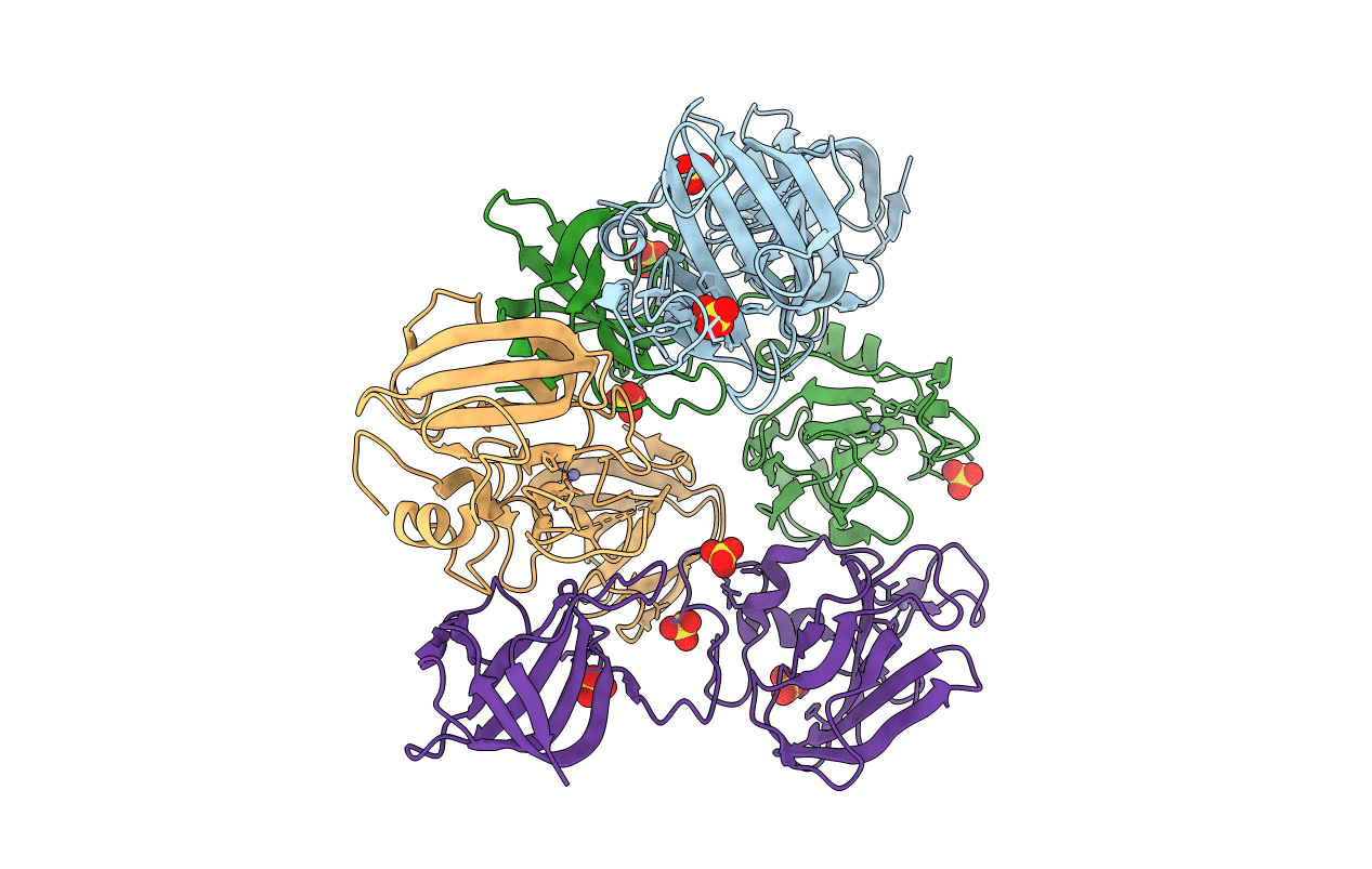 4LXC image