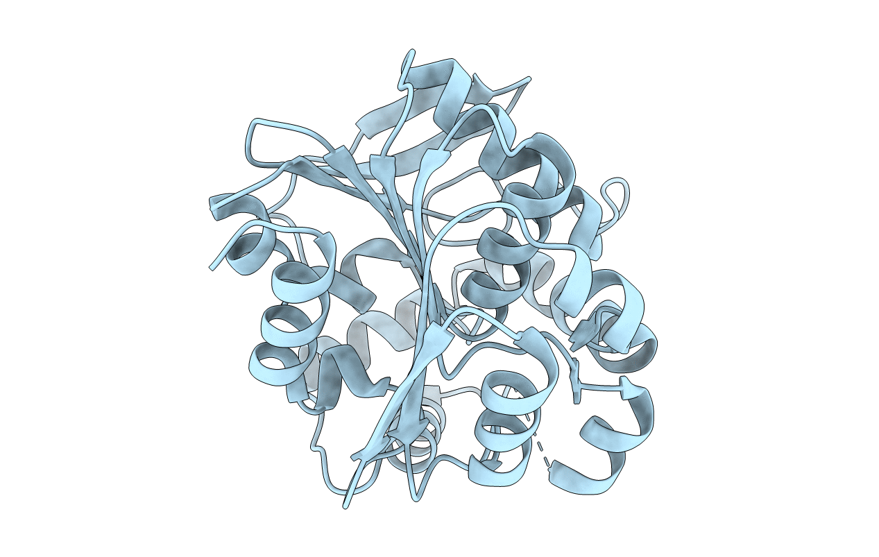 4LYD image