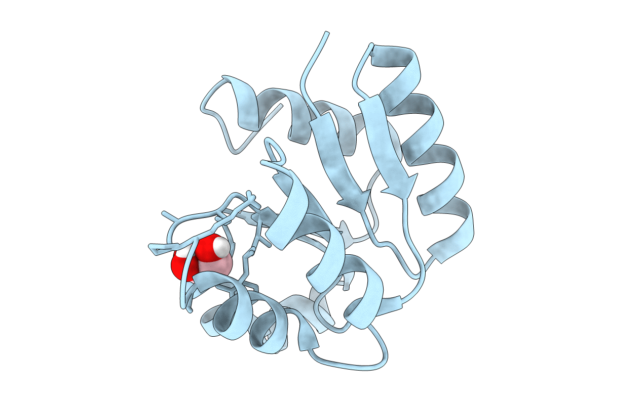4LZL image