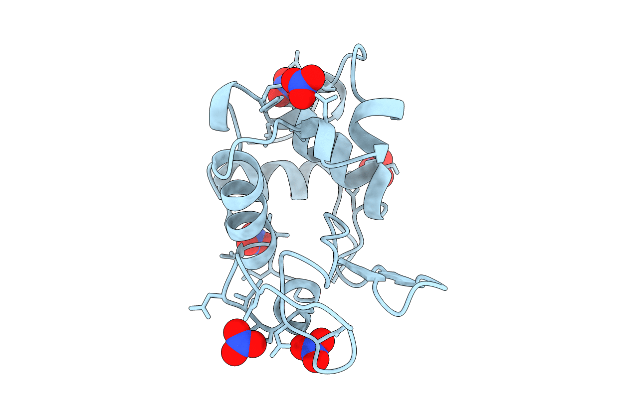 4LZT image